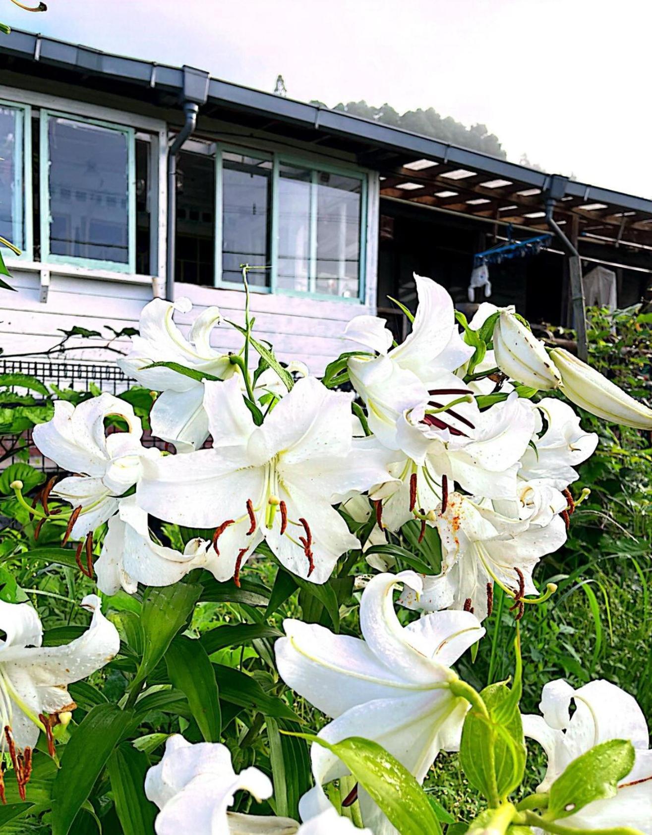 Homey Inn Enya Yufu Exterior photo